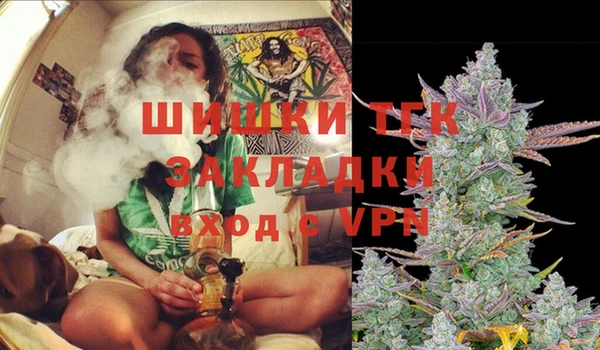 шишки Белокуриха