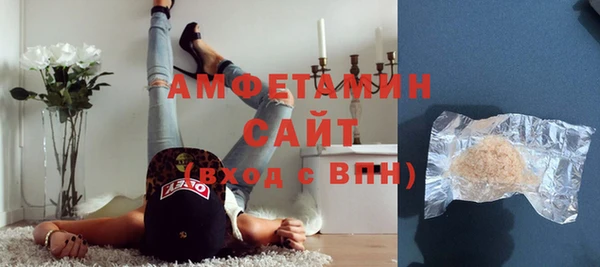 шишки Белокуриха