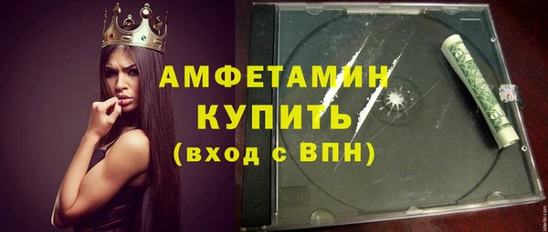 шишки Белокуриха