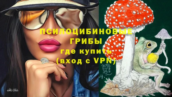 стаф Беломорск