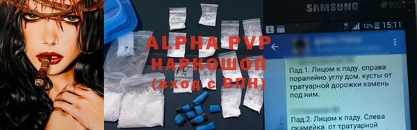 стаф Беломорск