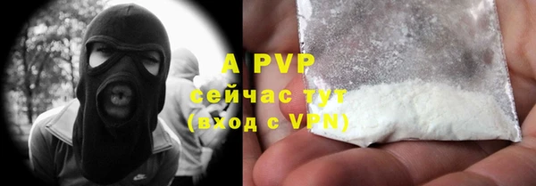 шишки Белокуриха