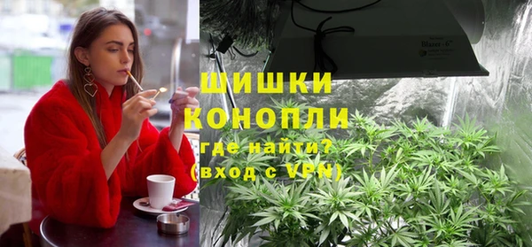 шишки Белокуриха