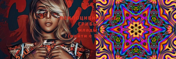 стаф Беломорск