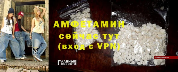 шишки Белокуриха