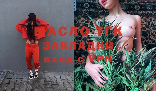 шишки Белокуриха