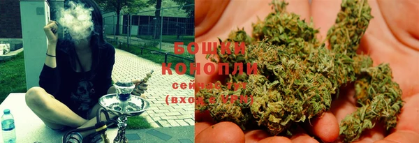шишки Белокуриха