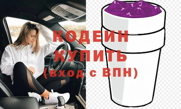 шишки Белокуриха