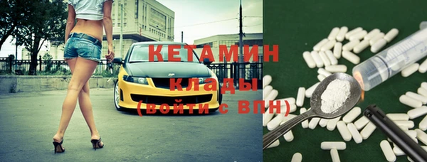шишки Белокуриха